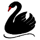 Black Swan Test